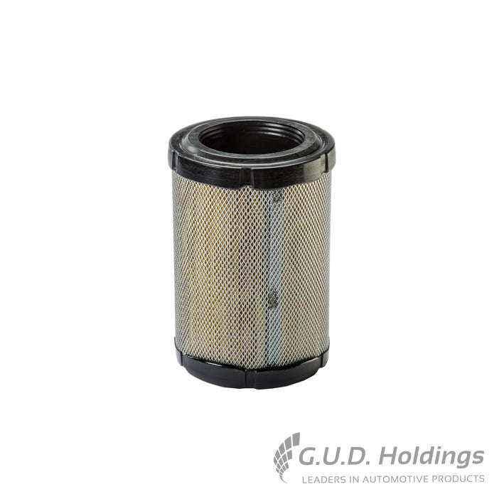Fram Air Filter Microbus CA10219