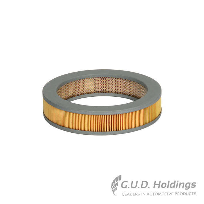Fram Air Filter CA4244