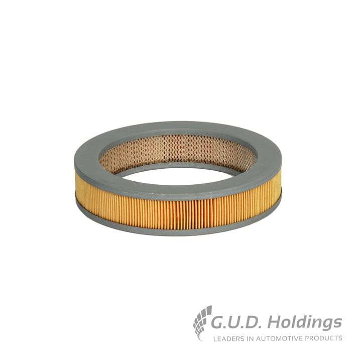 Fram Air Filter CA4244