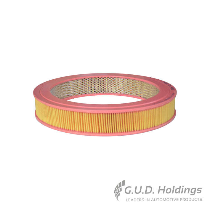 Fram Air Filter CA4252