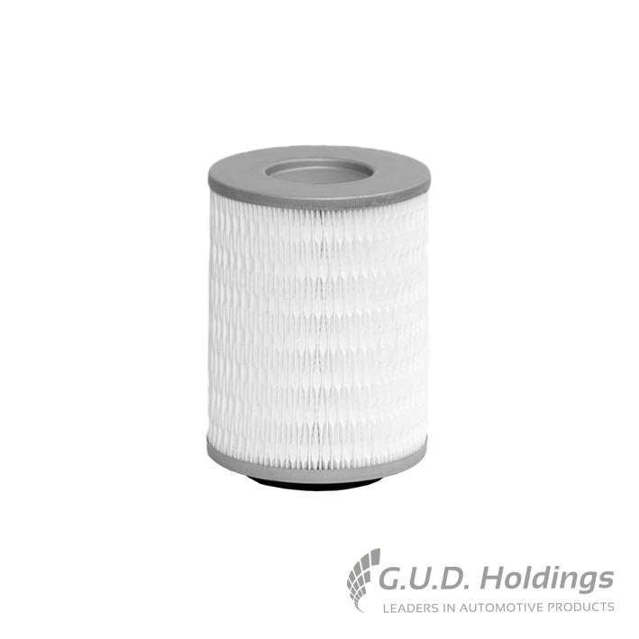 Fram Air Filter CA4909
