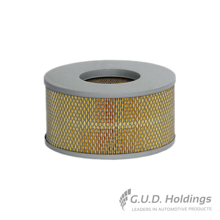 Fram Air Filter CA9393