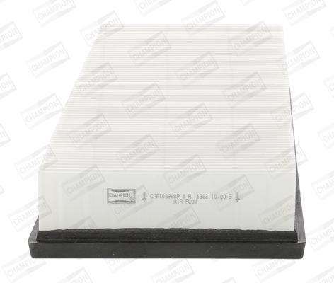 Caf100918P Air Filter Ag1368