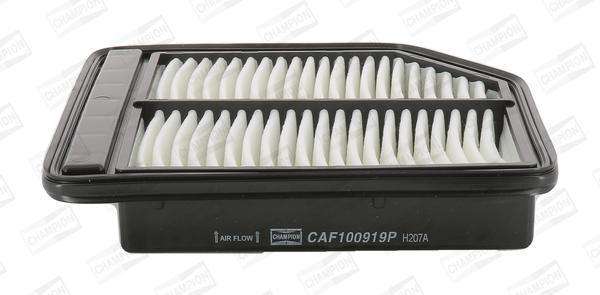 Caf100919P Air Filter Ag1440