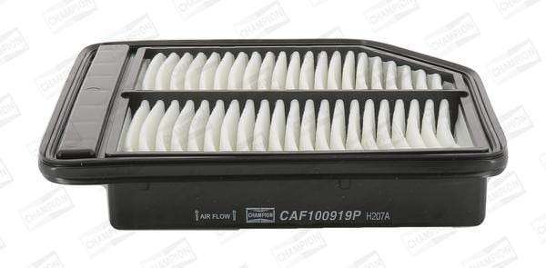 Caf100919P Air Filter Ag1440
