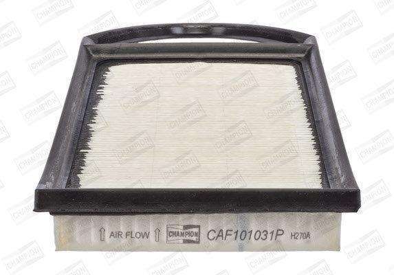 Caf101031P Air Filter Ag1539