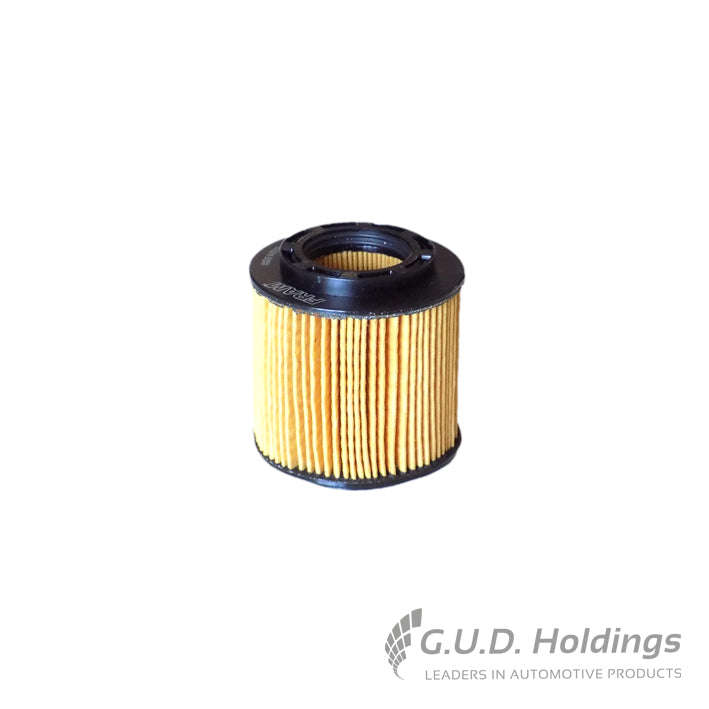 Fram Oil Filter Ford Ranger/ Mazda Bt-50 CH11673