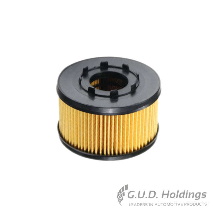 Fram Oil Filter CH9023ECO
