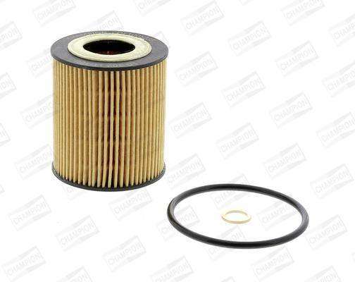 Cof100528E Filter -Bmw M11Gud