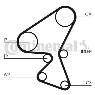 Water Pump & Timing Belt Set Citroen C3 1.4HDi (DV4C,DV4TD) Ford Fiesta IV 1.4TDCi (F6JB,F6JD) Pe...