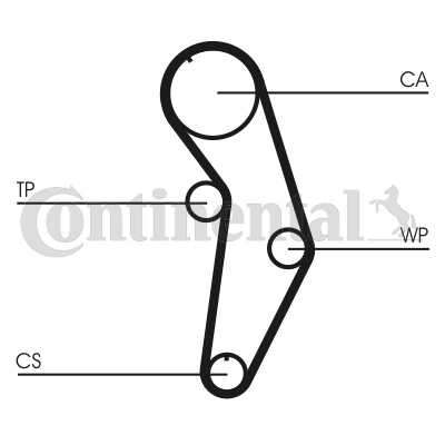 Water Pump & Timing Belt Set Vw Golf 4 1.6I,Vw Golf 5,Vw Jetta 4,Caddy Bgu,Bsf,Bse,Bs