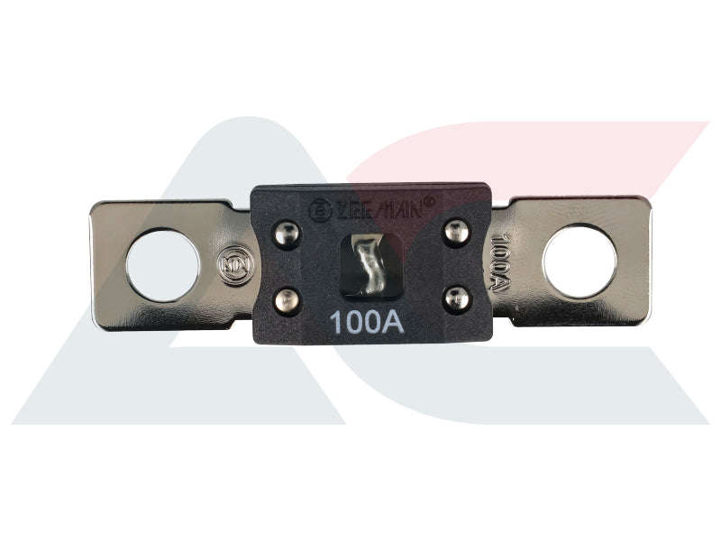 100Amp Mega Fuse (Single)