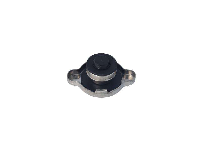 (Tm3-18M) Pressure Cap 124Kpa (Neptune)