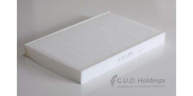 AC170GUD Hd Cabin Filter Iveco (GUD)
