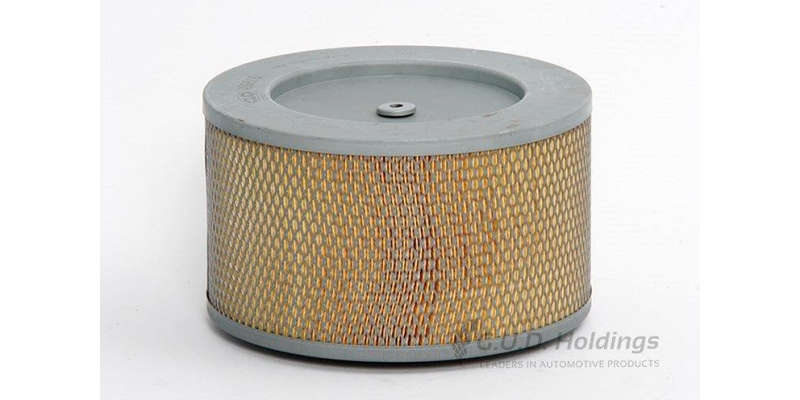 ADG616 Hd Air Filter Mazda/Mitsubishi/Ford/Amc (GUD)
