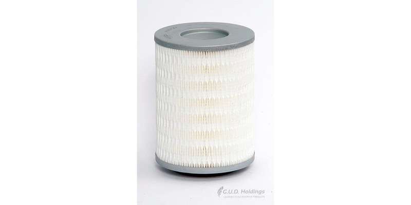 ADG727 Air Filter Ford/Mazda (GUD)