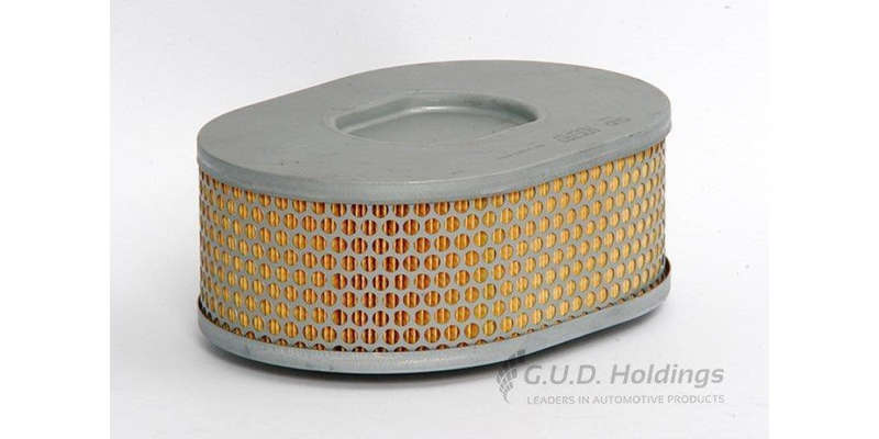ADG767 Air Filter Volkswagen (GUD)