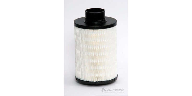 ADG864 Air Filter Mitsubishi/Ford/Mazda Ldv (GUD)