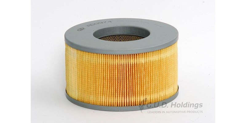 ADG974 Air Filter (GUD)