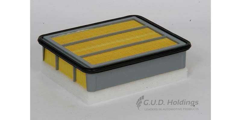 AG1011 Air Filter 2.5Td (GUD)