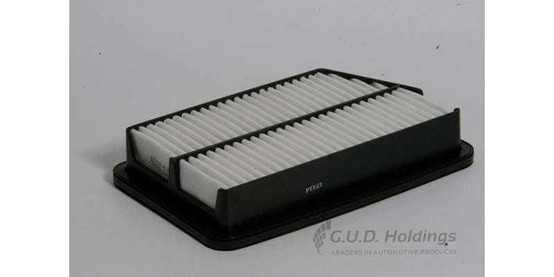 AG1013 Air Filter Tacuma (GUD)