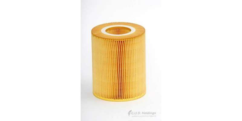 AG1019 Air Filter M166 '2000-On (GUD)