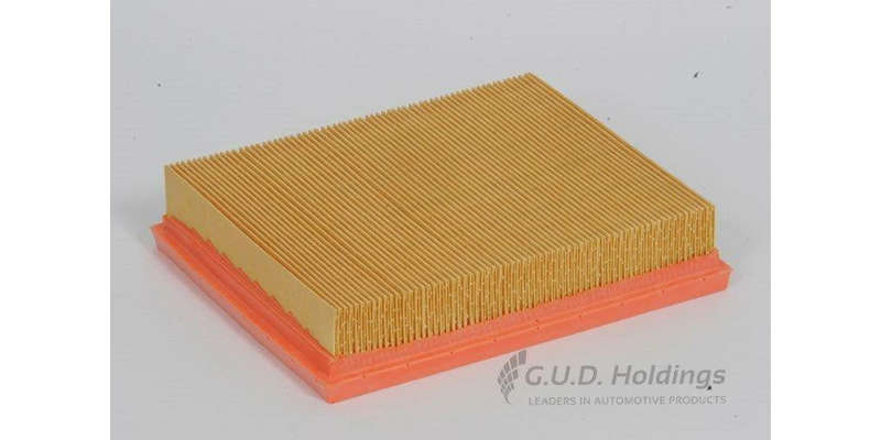 AG1020 Air Filter Ra Picasso (GUD)
