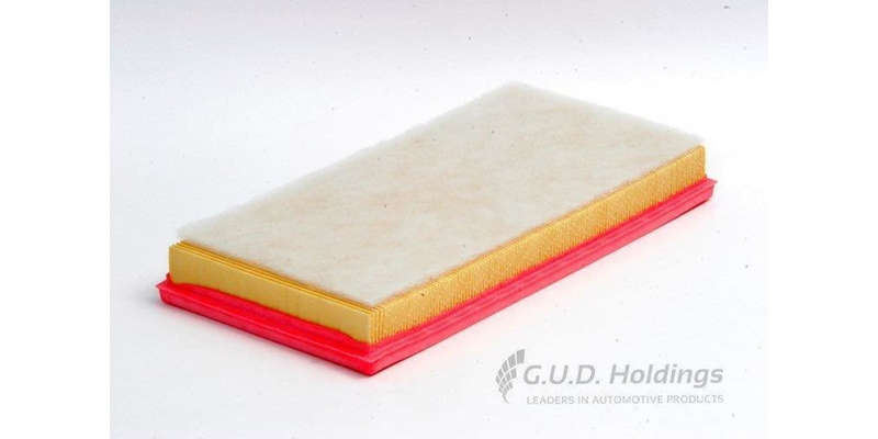 AG1026 Air Filter 2.0T/T4 B4204 & B4192 Eng (GUD)