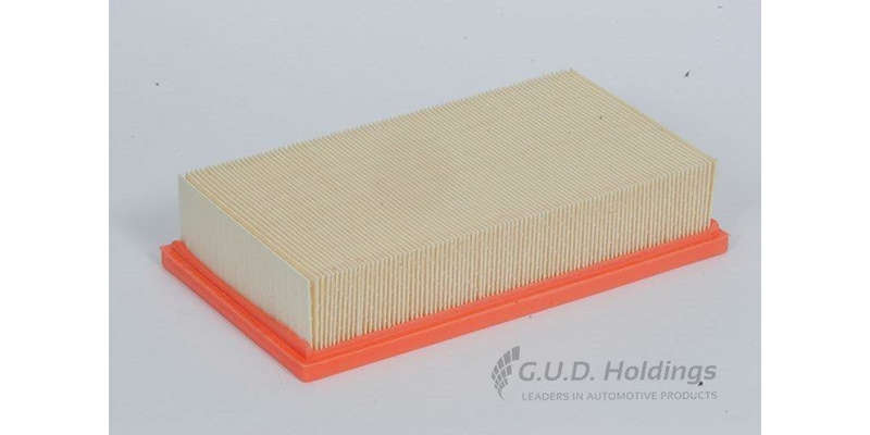 AG1033 Air Filter (GUD)