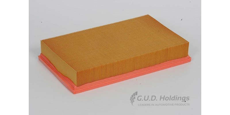 AG1038 Air Filter (GUD)
