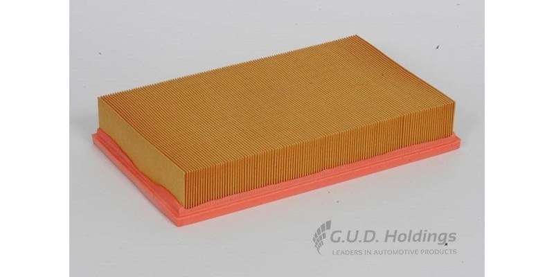 AG1038 Air Filter (GUD)