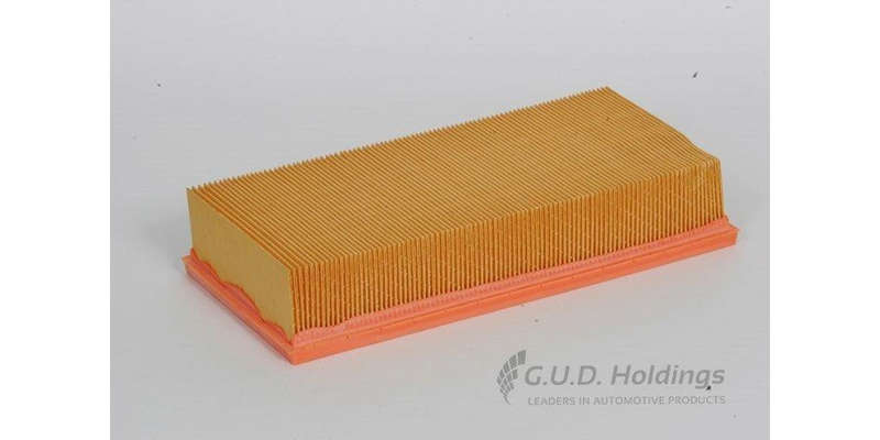 AG1052 Air Filter (GUD)