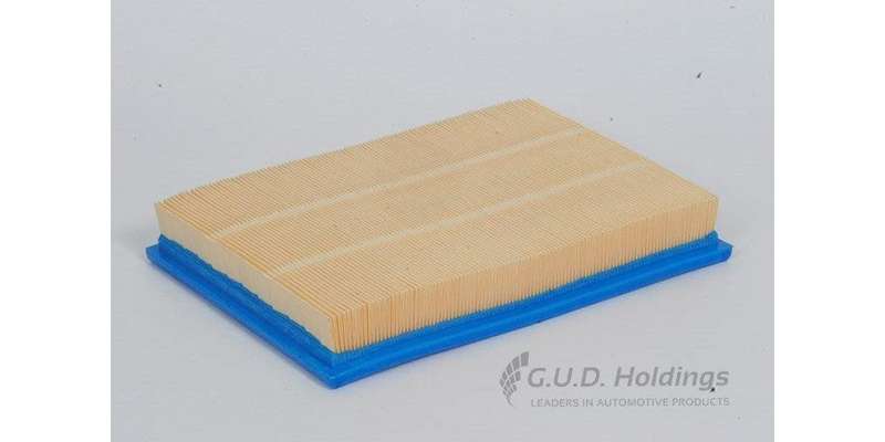 AG1087 Air Filter (GUD)