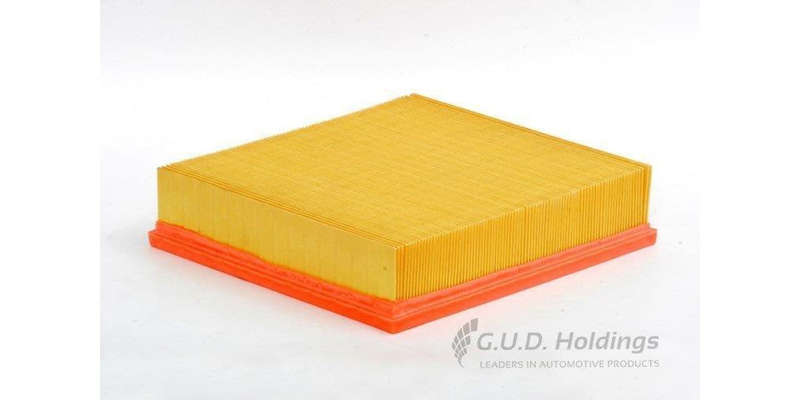 AG1118 Air Filter (GUD)