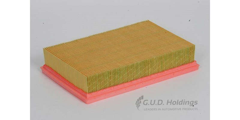 AG1142 Air Filter Peugeot 307 1.6/2.0 2001/ (GUD)