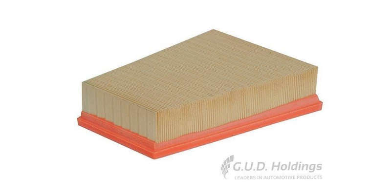 AG1152 Air Filter Ane/Scenic (GUD)