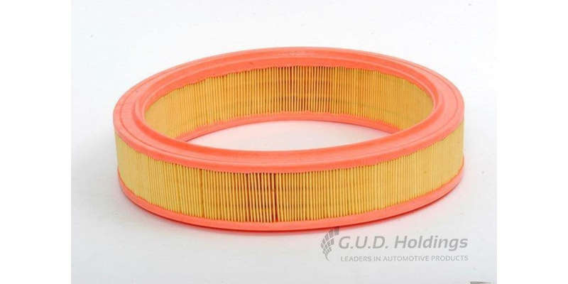 AG1204 Air Filter To (GUD)