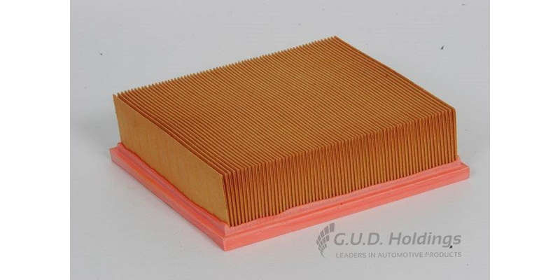 AG1205 Air Filter La (GUD)