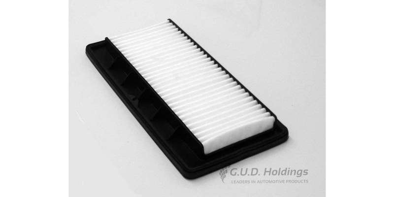 AG1261 Air Filter (GUD)