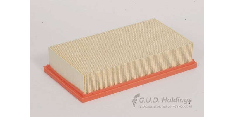 AG1262 Air Filter Nissan Commercedesials (GUD)