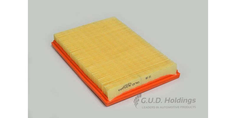 AG1283 Air Filter (GUD)