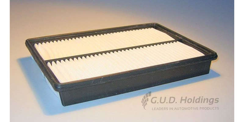 AG1335 Air Filter Carnival/Sedona (GUD)