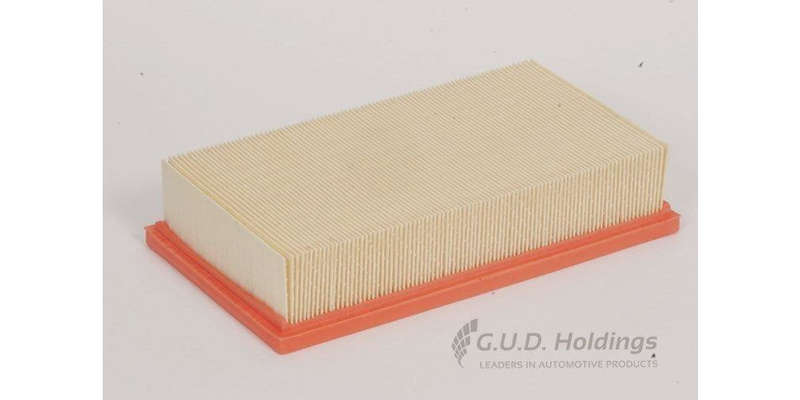 AG1351 Air Filter Ford Focus/Volvo C30/S40 (GUD)