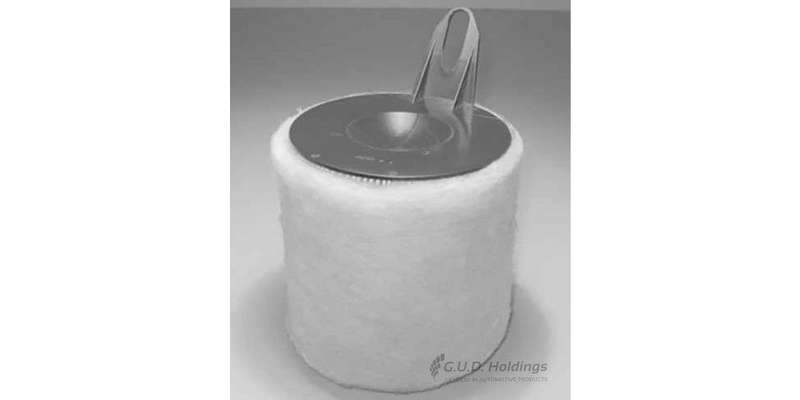 AG1357 Air Filter 118I 120I/E87 3201I/E90 (GUD)