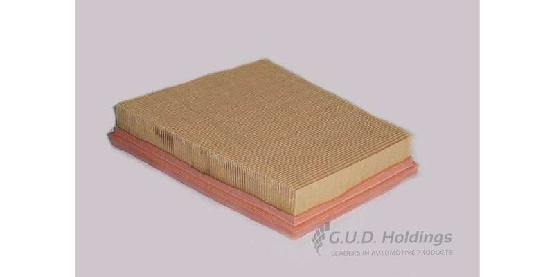 AG1359 Air Filter Ford Fiesta Diesel (GUD)