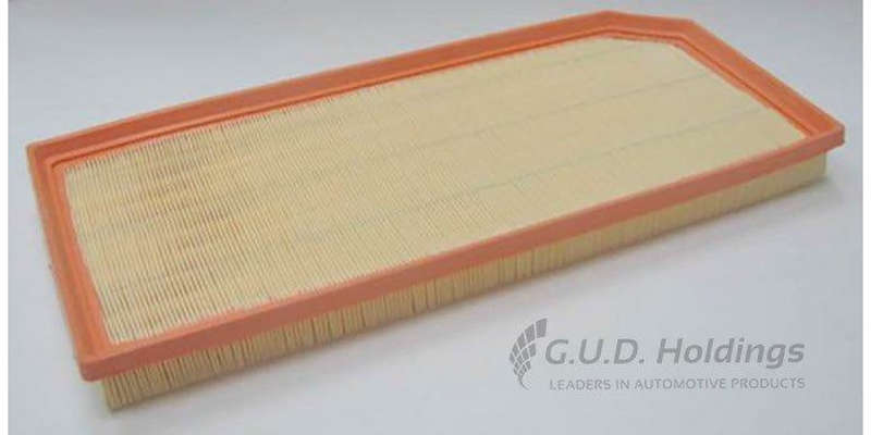 AG1360 Air Filter A3 & Tt/Seat/Vw Golf/Eos (GUD)