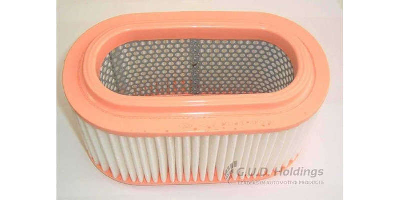 AG1366 Air Filter Hyundai H100/Hd65/72 (GUD)