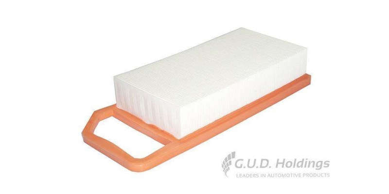 AG1377 Air Filter Cit C5 & Peu 407 (GUD)
