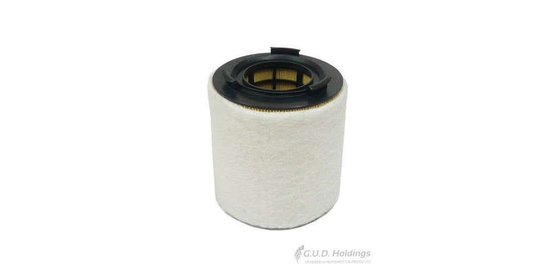 AG1384 Air Filter Audi A1/ Vw Polo (GUD)