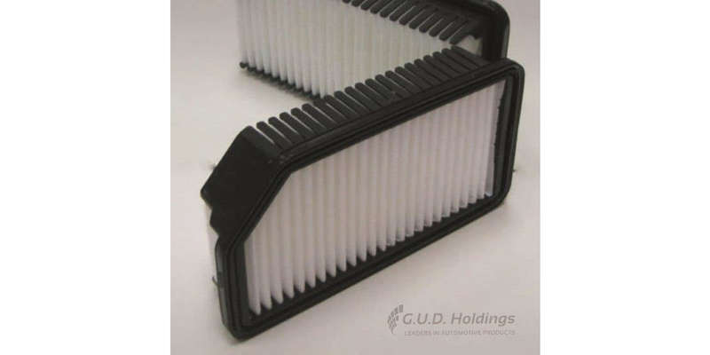 AG1403 Air Filter Kia (GUD)